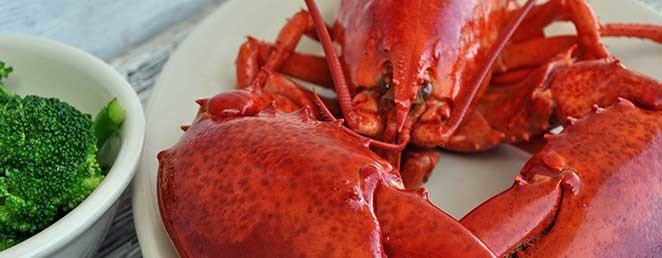 seafood-restaurant-lobster
