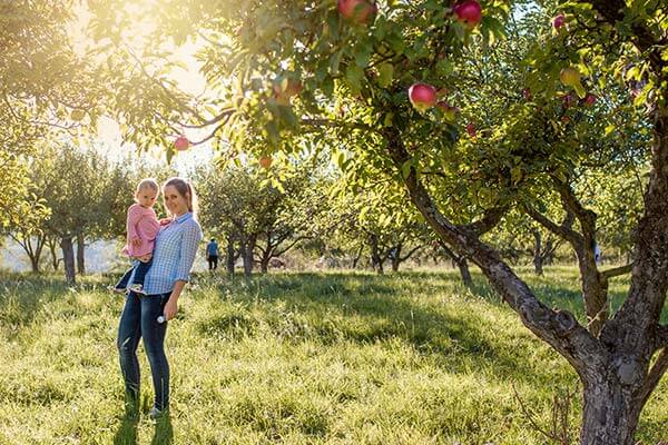 a woman and her baby next to an apple tree in an apple field